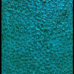 Meet your Posher, Mais